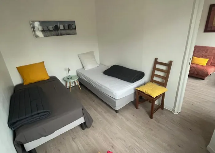 Centre Confort 公寓 科尔马